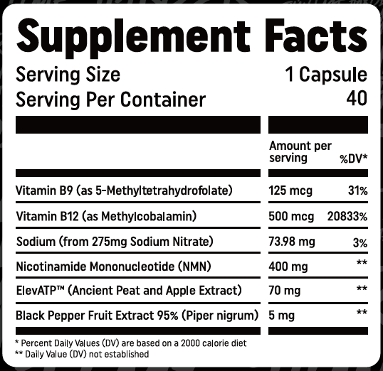 Go2 Max GO2 Max | Peak Endurance Support – HTLT Supplements