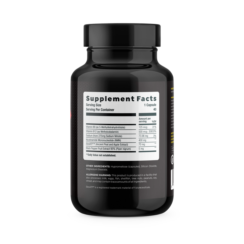 Go2 Max GO2 Max | Peak Endurance Support – HTLT Supplements